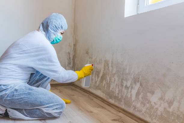 Licensed Commercial Mold Remediation service in Glencoe, FL - WQB Mold Removal