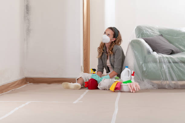 Reliable Commercial Mold Remediation contractor in Glencoe, FL by WQB Mold Removal